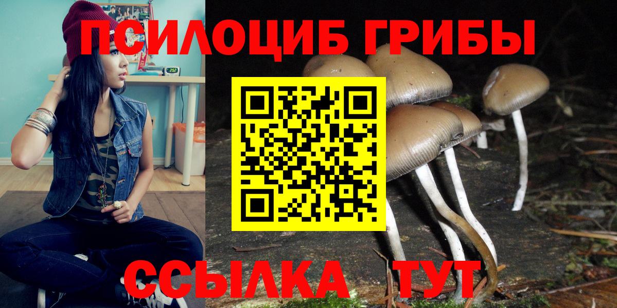 Галлюциногенные грибы прущие грибы Курганинск