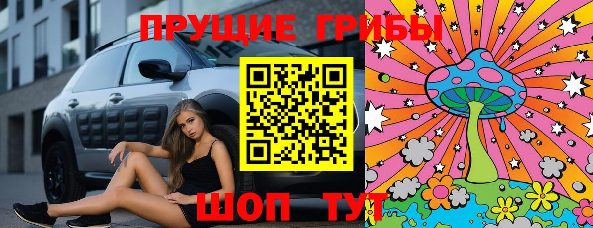 Курганинск  Галлюциногенные грибы прущие грибы  Вход с VPN 