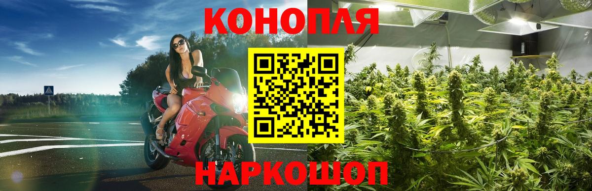 Бошки Шишки OG Kush Курганинск